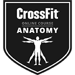Certification coachs CrossFit Ter intensity - Anatomy